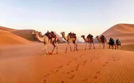 Dune Buggy Rental Dubai – Your Ticket to Ultimate Desert Adventure