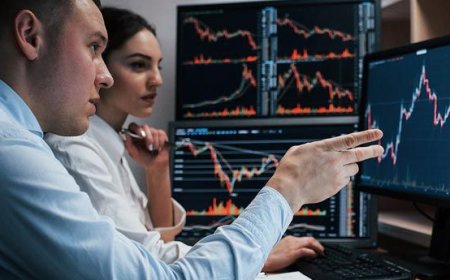 Step-by-Step Guide To Starting Your Forex Firm with MT5 Grey Label