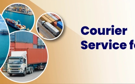 Guide To Choosing The Best Courier Service for USA