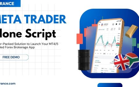 MetaTrader Clone Script: The Fast Track to Build Your Forex Brokerage App