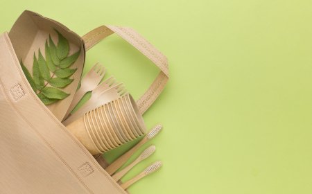 What Makes Compostable Carry Bags Ideal for Andhra Pradesh’s Plastic Ban?