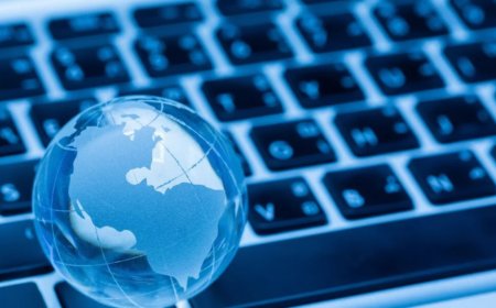 Why Premium Wikipedia Services Are Changing the Game — And What You Should Know