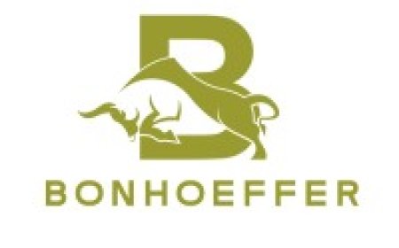 EFI Engine Industrial Equipment: Using Bonhoeffer Machines to Drive the Future