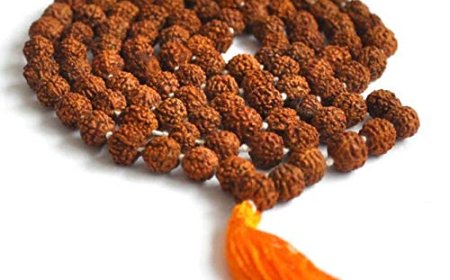Shravan Special – Why Wearing Rudraksha Deepens Your Spiritual Journey