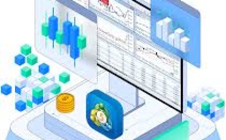 Mastering the Markets with Trade Demo Sessions on Btcdana