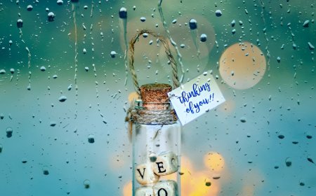 365 Gratitude Drops A Journey Within the  Creative Journals In A Bottle Book By Roberto Cuccu