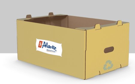 The Future of Corrugated Packaging in the Eco-Friendly Era