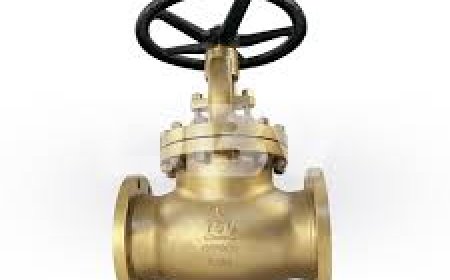 Aluminium Bronze Valve Manufacturers in India
