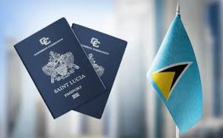 Saint Lucia Citizenship – A Smarter Investment for Global Freedom