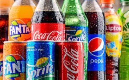 Why Partner with a Food Beverage Sales Agency Today?