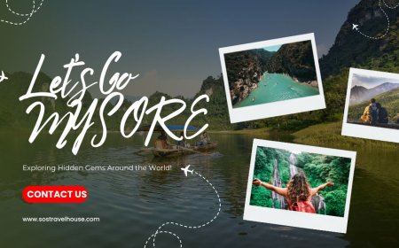 Mysore Ooty Coorg Tour Package – Affordable Trips for All Seasons