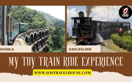 Looking to Plan Darjeeling Trip? Options below 10000 INR