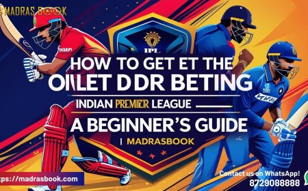 Best Online ID for Betting in India (2025): Top Platforms Reviewed