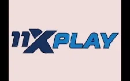 How to Play Andar Bahar online game: A Complete Beginner’s Guide