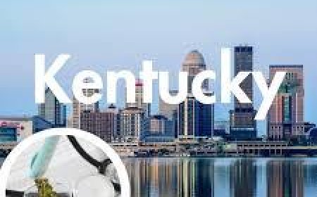 🌿 Top 7 Best-Rated Medical Marijuana Dispensary Near Me