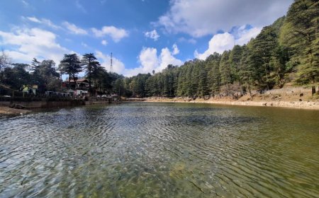 Book Best Himachal Family Tour Packages for a Joyful Trip