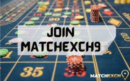 Matchexch9 – Your Gateway to Online Sports Exchange