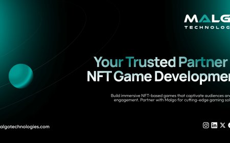What an NFT Game Development Company Can Do for Your Project?
