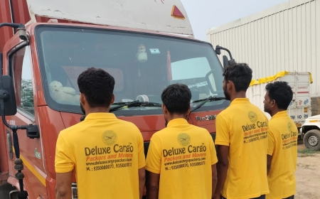 Deluxe cargo Packers and Movers