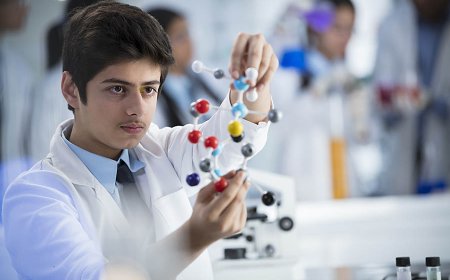 How a Positive Learning Environment Shapes Student Success in the Top Schools in Dwarka