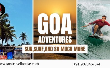 Goa Tour Package from Delhi: All-Inclusive Flights & Hotels