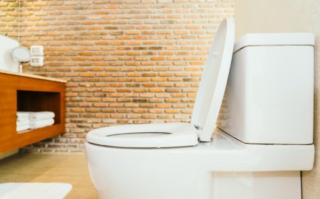 Find the Perfect Toilet Seat for Your Bathroom
