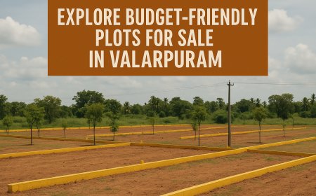 Explore Budget-Friendly Plots for Sale in Valarpuram