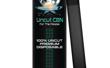 What Are CBN Disposables? A Beginner’s Guide to Sleep-Friendly Vaping