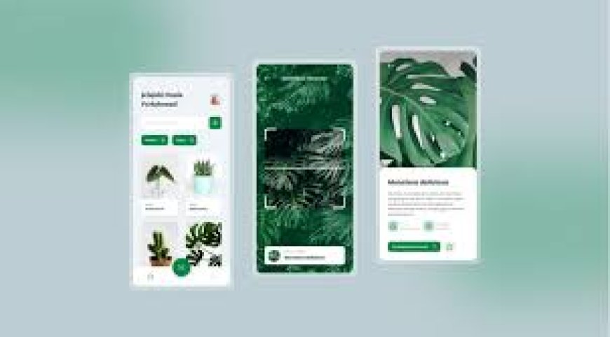 Urban gardening space finder apps created by a mobile app development company in Chicago