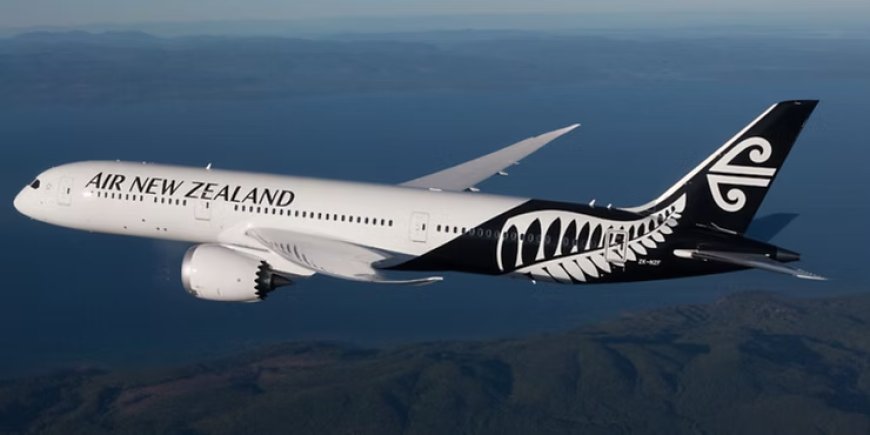 How to Apply for a New Zealand Visitor Visa Extension