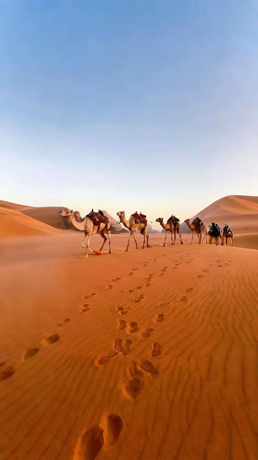 Dune Buggy Rental Dubai – Your Ticket to Ultimate Desert Adventure