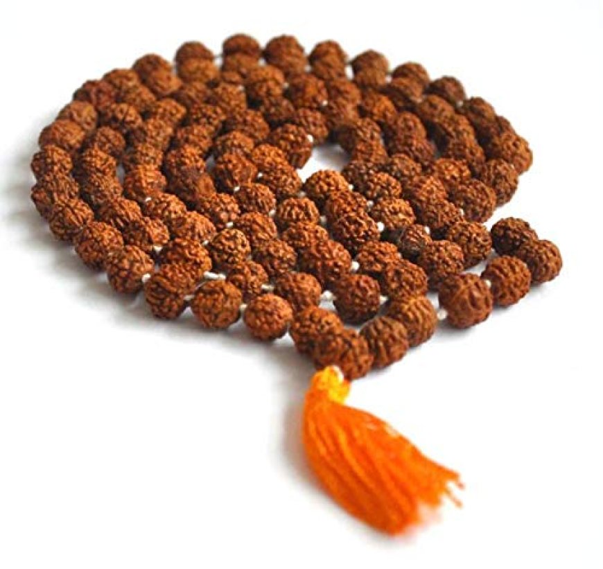 Shravan Special – Why Wearing Rudraksha Deepens Your Spiritual Journey