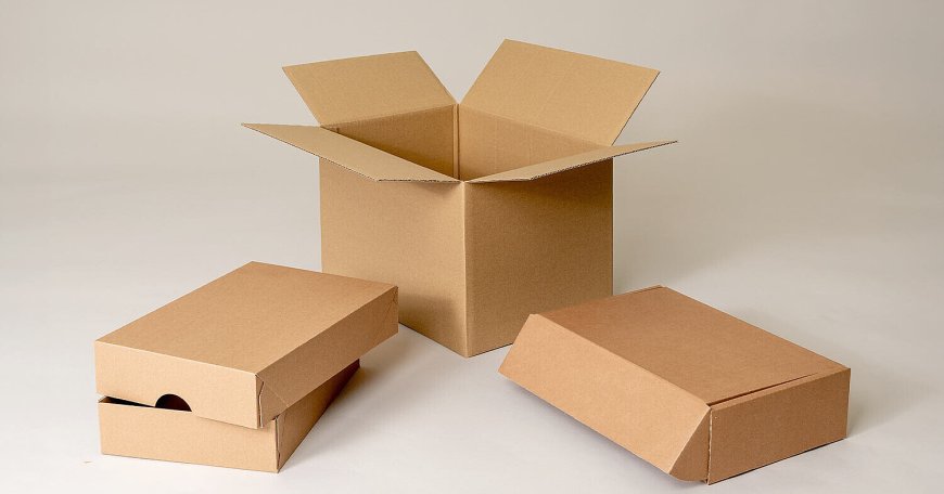 Corrugated Digital Packaging Solution: Transforming Modern Packaging