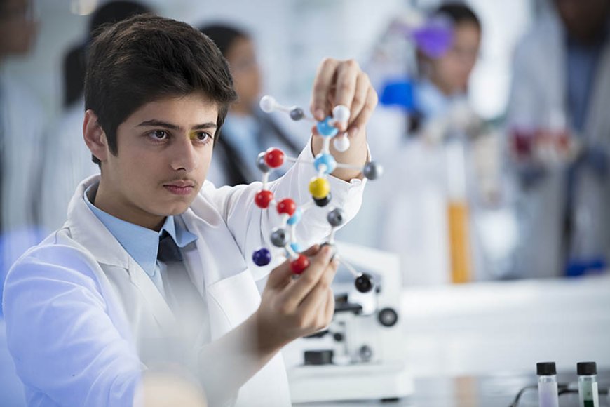 How a Positive Learning Environment Shapes Student Success in the Top Schools in Dwarka